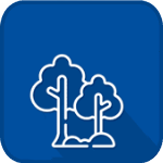 Extracción de Arboles